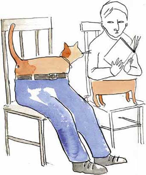 Mancat/Catman