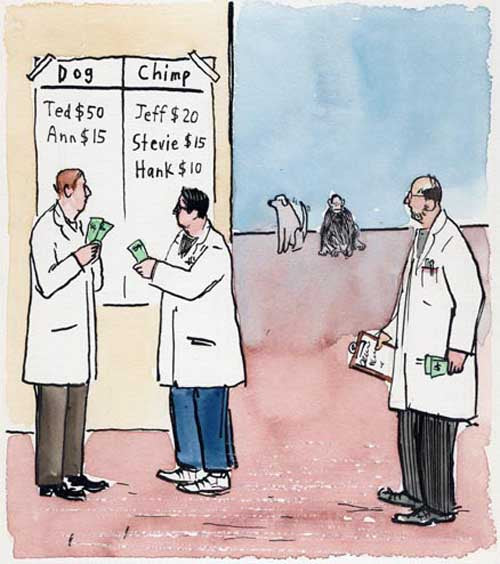 Dog vs. Chimp