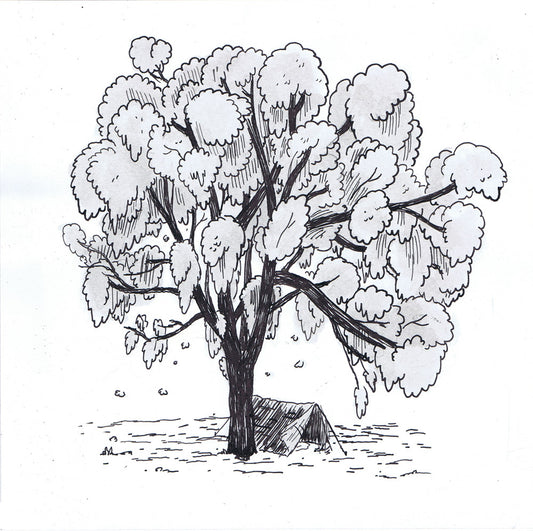 Cotton wood Tree - Vice Illustration