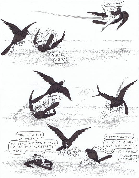 Big Questions - page 428