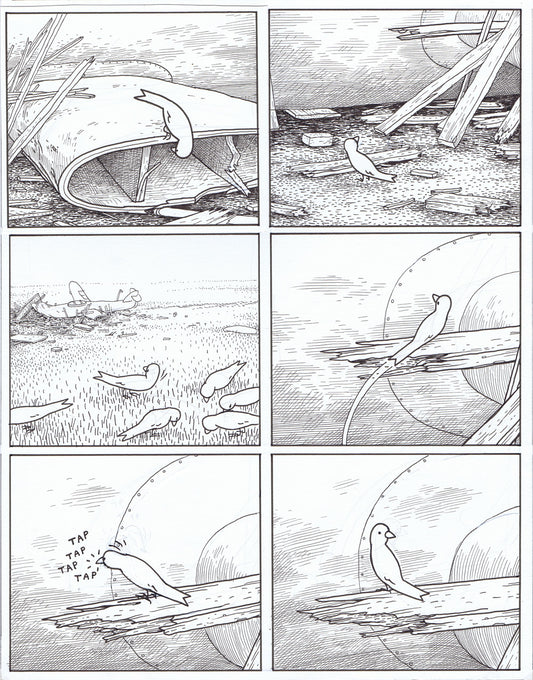 Big Questions - page 218-219